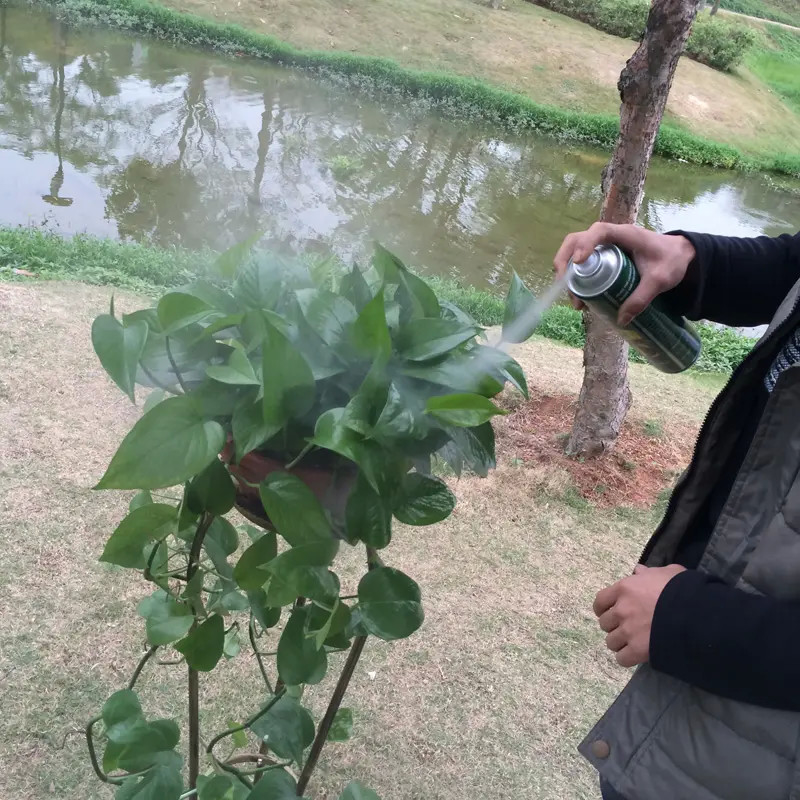 मल्टीसीन टिनप्लेट लीफ शाइन स्प्रे ग्रीन बॉटल कलर इको फ्रेंडली